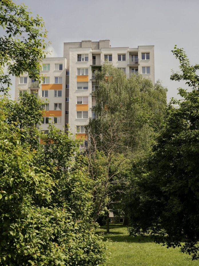 Rozwój umiejętności w biznesie: klucz do sukcesu